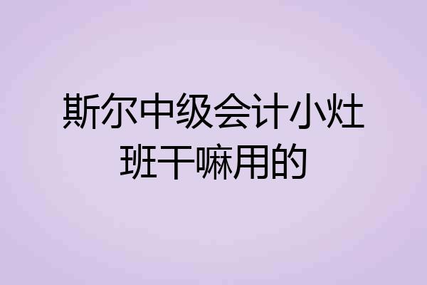 斯尔中级会计小灶班干嘛用的