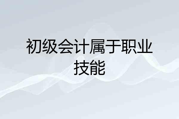 初级会计属于职业技能