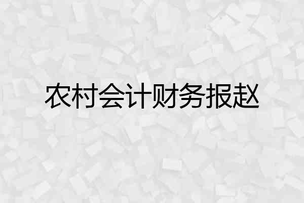 农村会计财务报赵