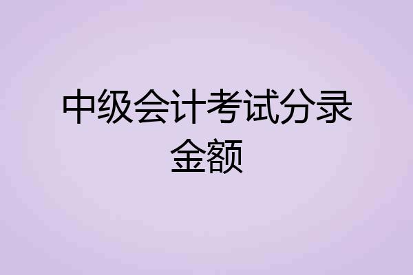 中级会计考试分录金额
