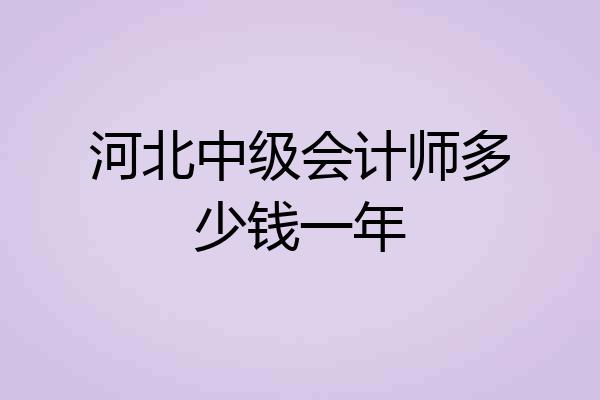 河北中级会计师多少钱一年