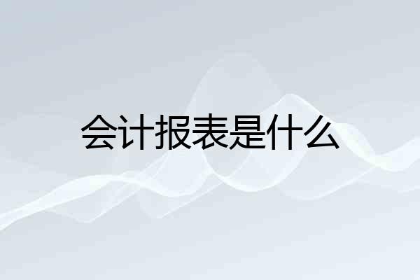 会计报表是什么