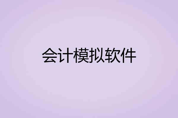 会计模拟软件