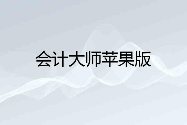 会计大师苹果版