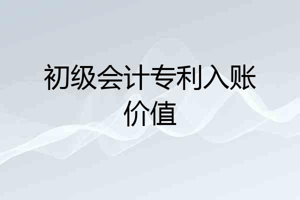 初级会计专利入账价值