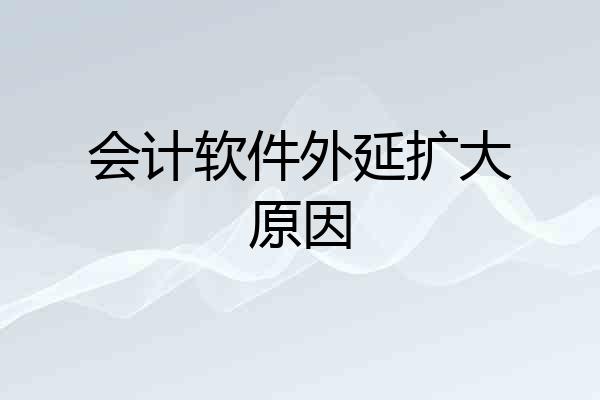 会计软件外延扩大原因