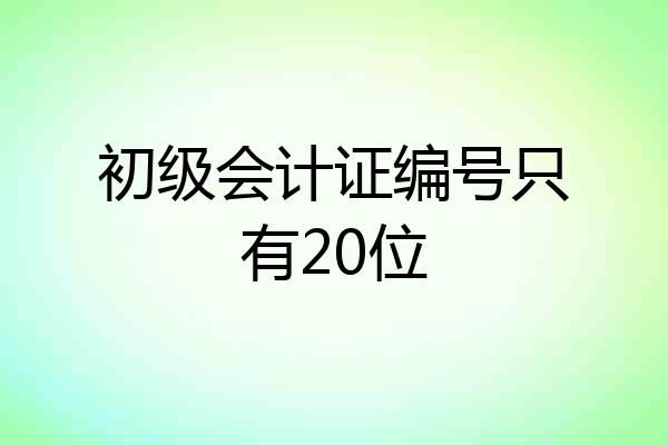 初级会计证编号只有20位