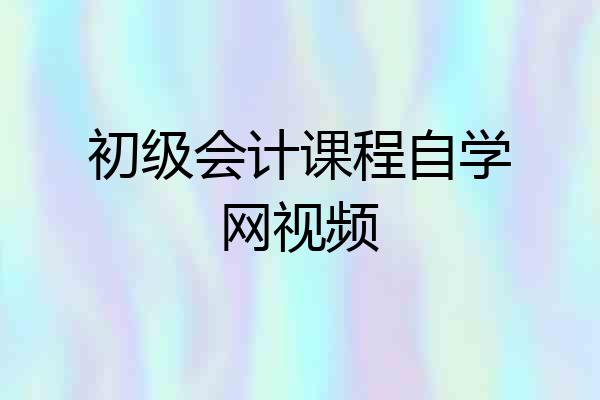 初级会计课程自学网视频