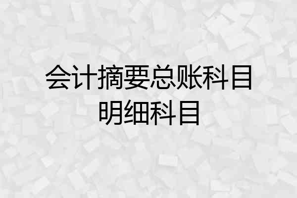 会计摘要总账科目明细科目