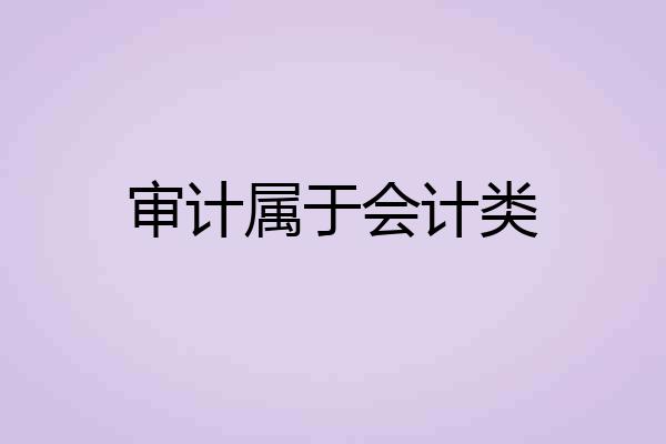 审计属于会计类