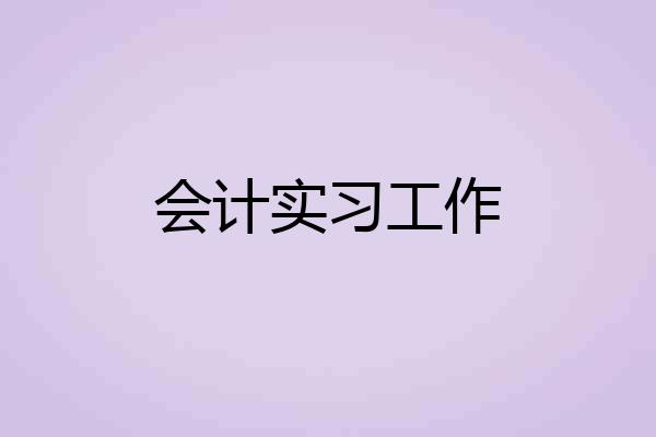 会计实习工作