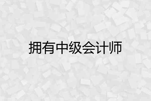 拥有中级会计师