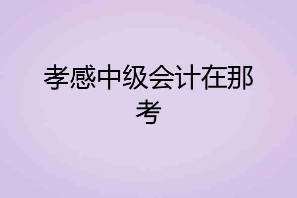 孝感中级会计在那考