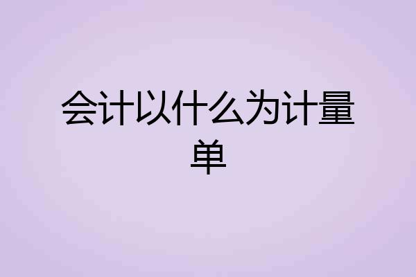 会计以什么为计量单
