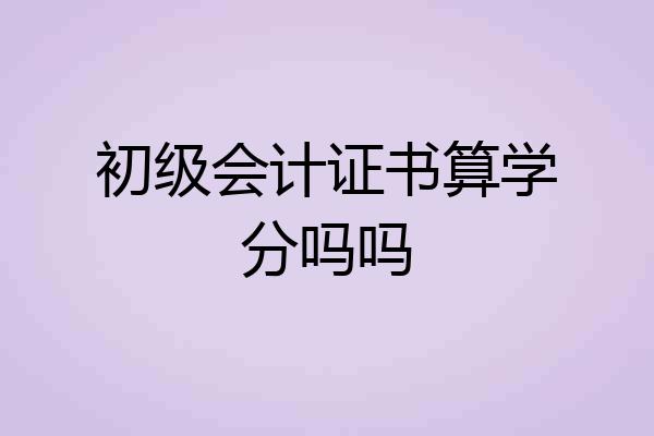 初级会计证书算学分吗吗
