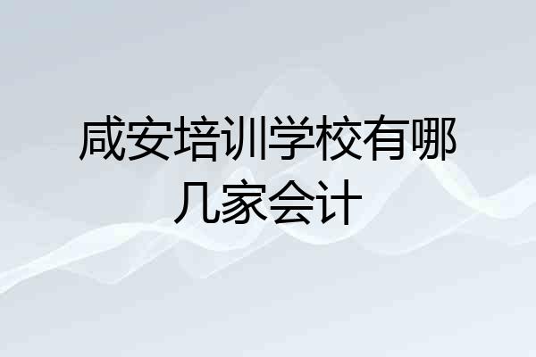 咸安培训学校有哪几家会计