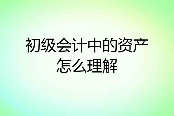 初级会计中的资产怎么理解