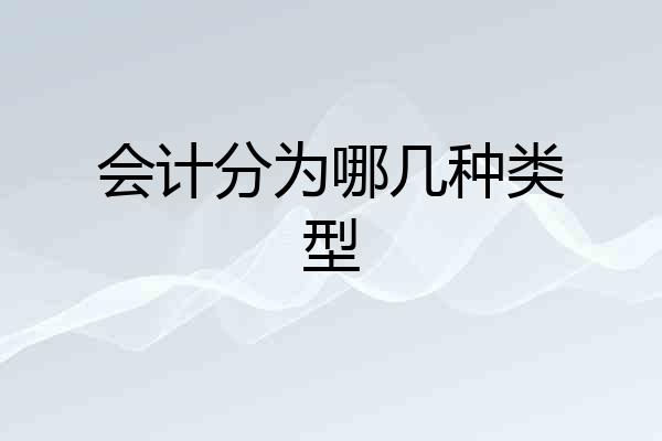 会计分为哪几种类型
