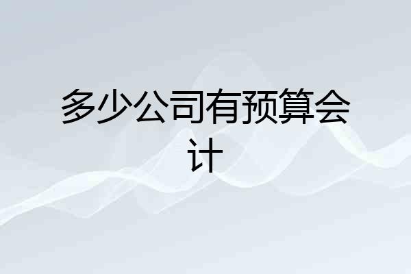 多少公司有预算会计