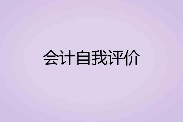 会计自我评价