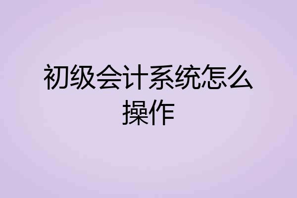 初级会计系统怎么操作