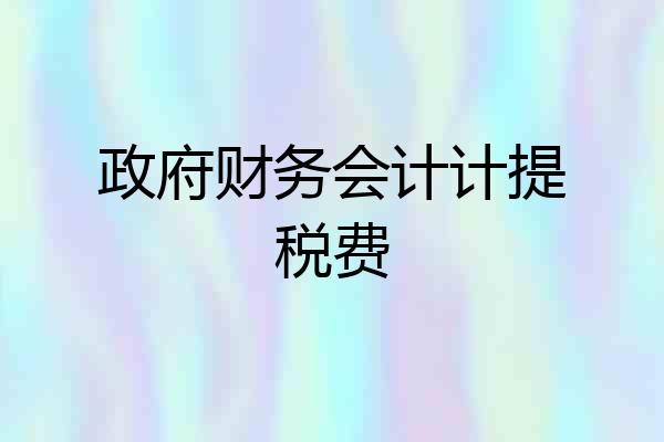 政府财务会计计提税费