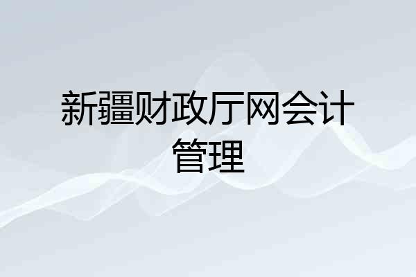 新疆财政厅网会计管理