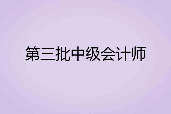 第三批中级会计师