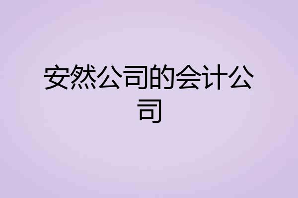 安然公司的会计公司