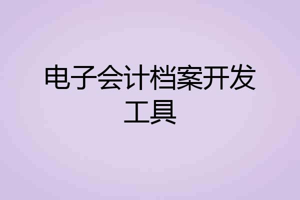 电子会计档案开发工具