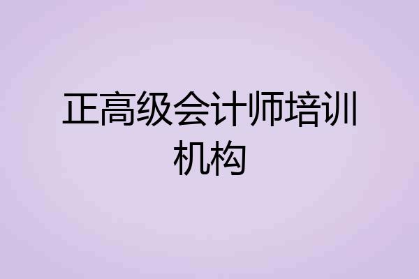 正高级会计师培训机构