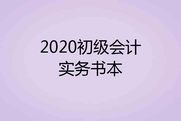 2020初级会计实务书本