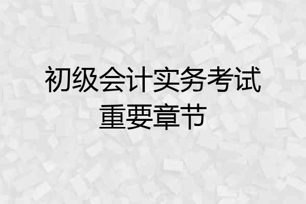 初级会计实务考试重要章节