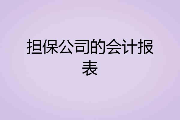 担保公司的会计报表