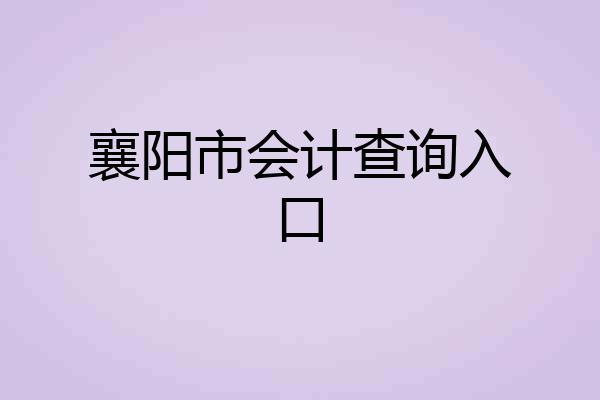 襄阳市会计查询入口