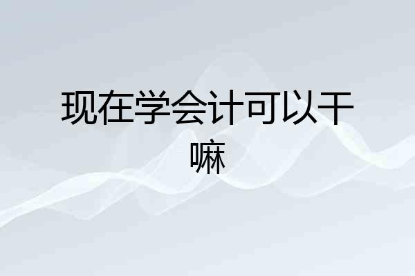 现在学会计可以干嘛