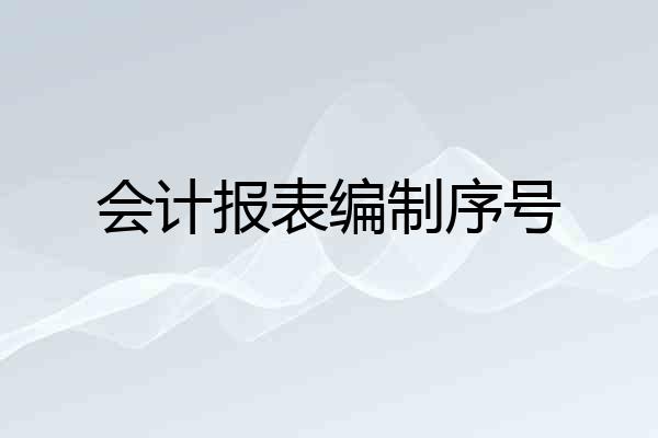 会计报表编制序号