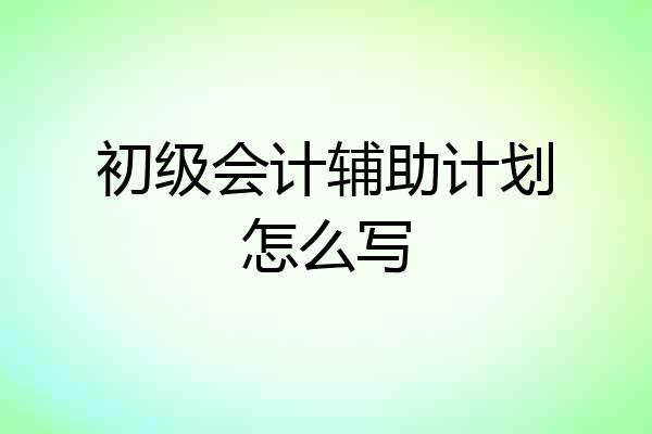 初级会计辅助计划怎么写