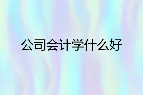 公司会计学什么好
