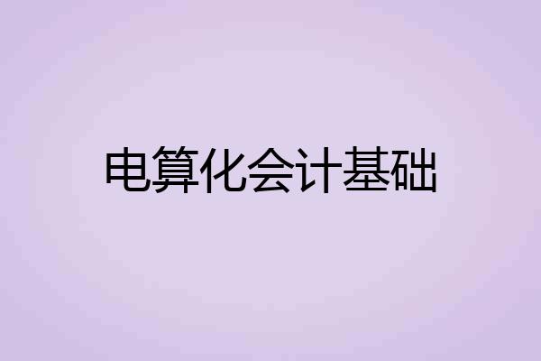 电算化会计基础