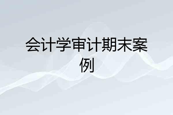 会计学审计期末案例