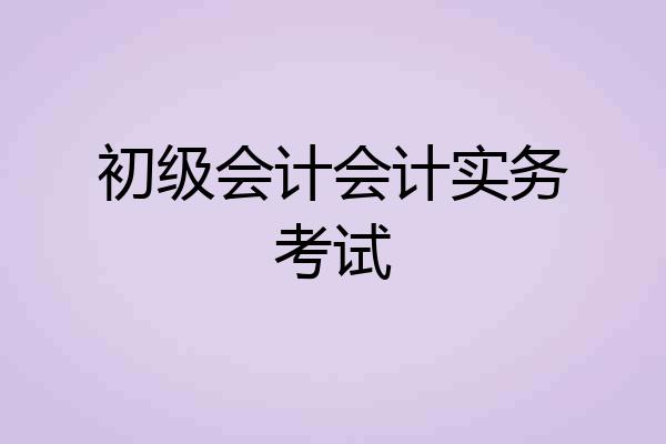 初级会计会计实务考试