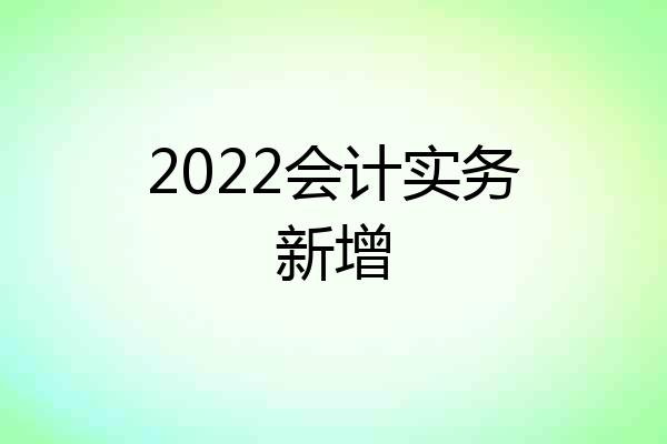 2022会计实务新增