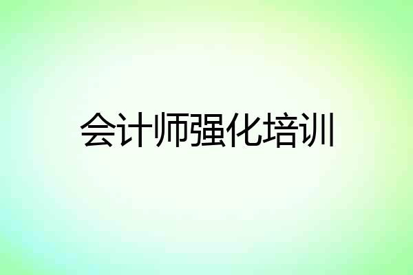会计师强化培训