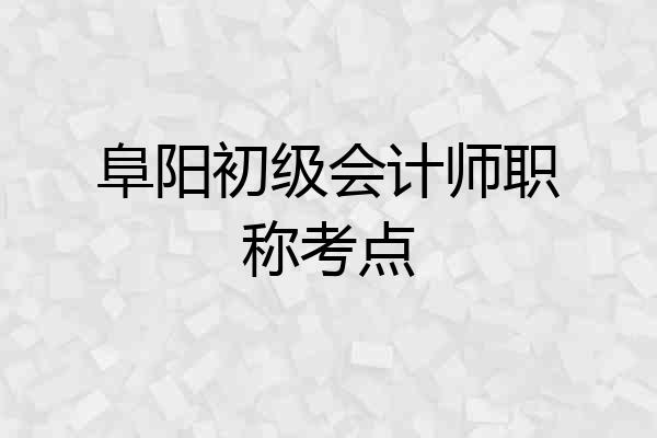阜阳初级会计师职称考点