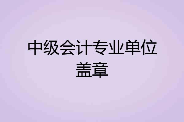 中级会计专业单位盖章