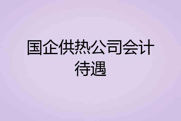国企供热公司会计待遇