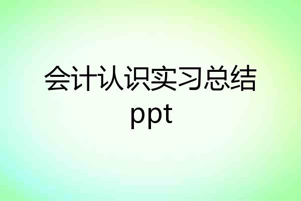 会计认识实习总结ppt