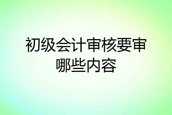 初级会计审核要审哪些内容