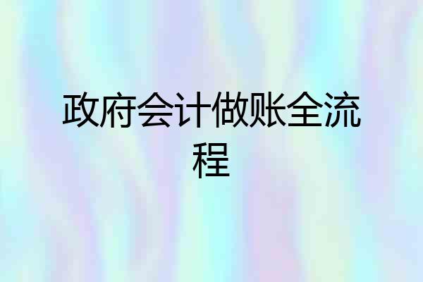 政府会计做账全流程